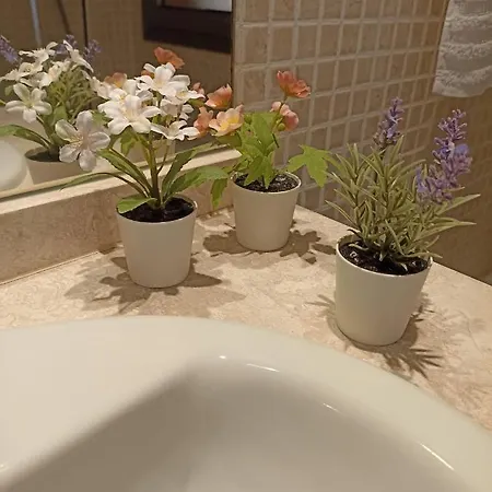 Macy House , With Private Garden And Sea Views Apartment