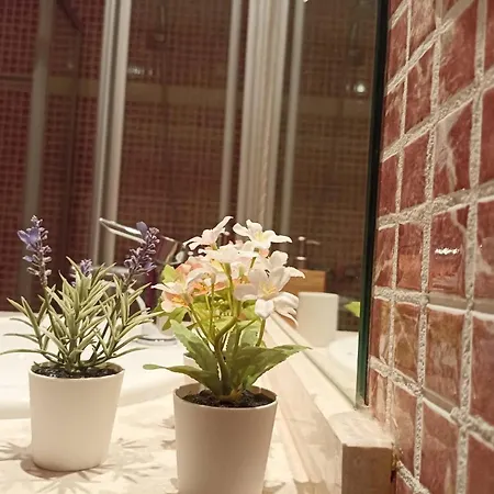 Apartment Macy House , With Private Garden And Sea Views